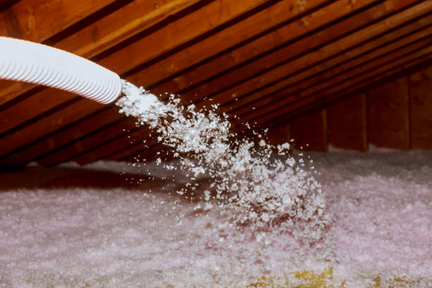 Best Attic Insulation Installation  in St Andrews, SC